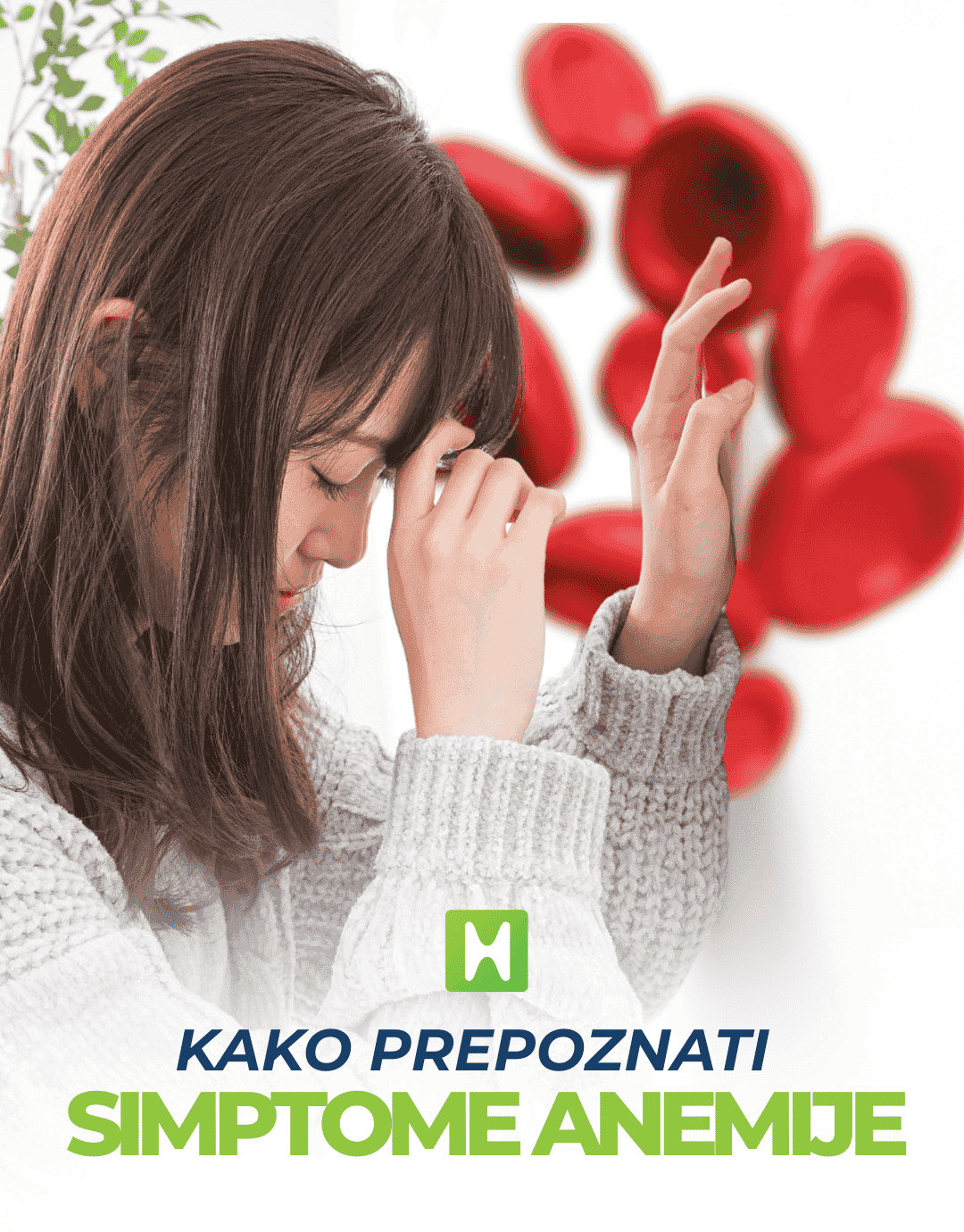 Anemija simptomi, gvozdje, feritin